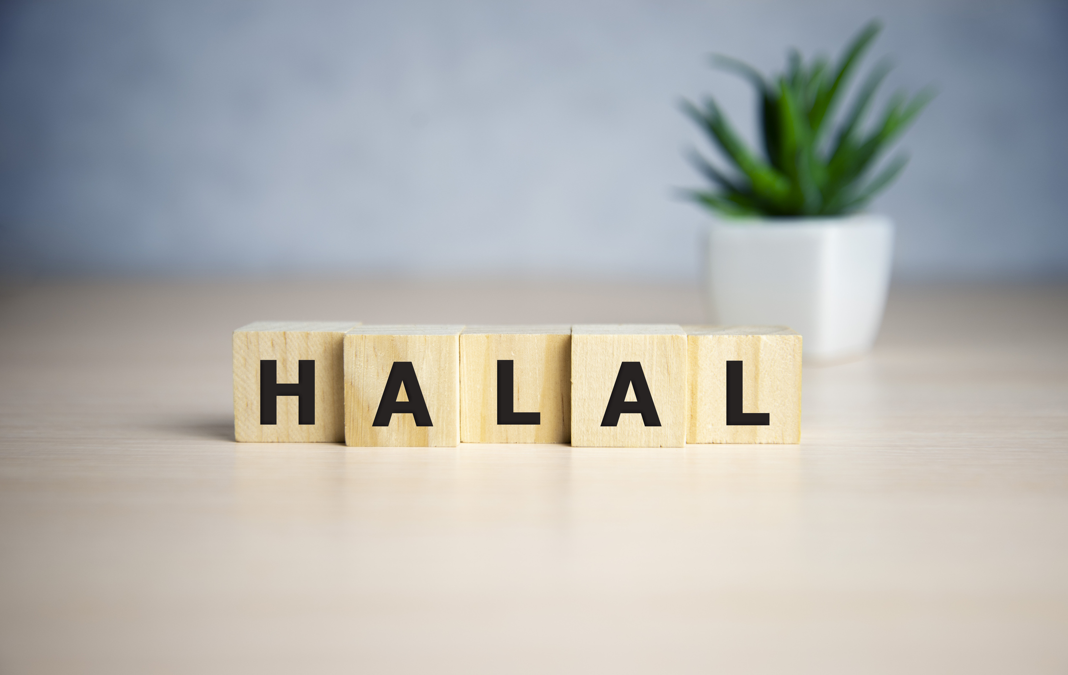 Letter block in word halal on wooden blocks.